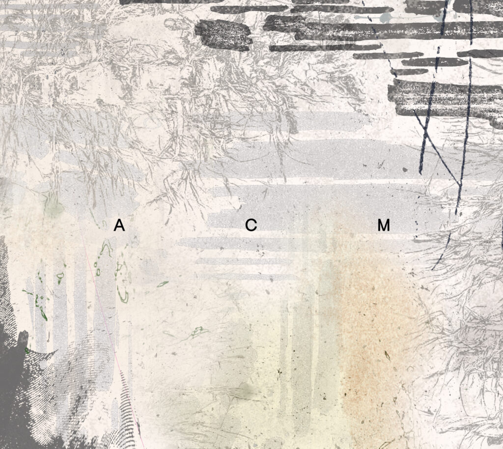 ACM by AUT RECORDS